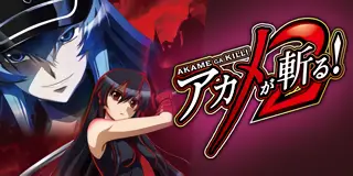 L アカメが斬る!2