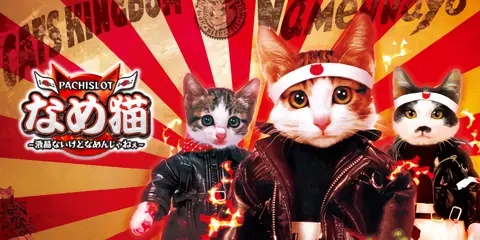 パチスロ なめ猫~液晶ないけどなめんじゃねぇ~_トップ画像