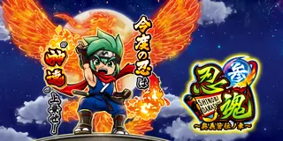 忍魂参 ~奥義皆伝ノ章~