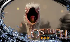 ダチョウ