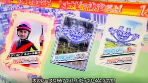 レース条件のカード選択画面