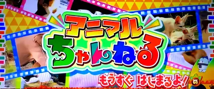 突入タイトル画面