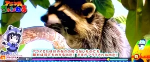 フレンズ紹介中2