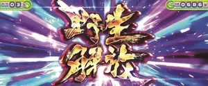 野生解放突入画面