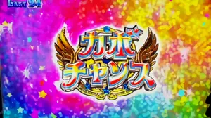 カボチャンスストック
