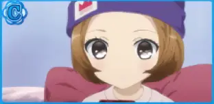 C (青枠/13種類)