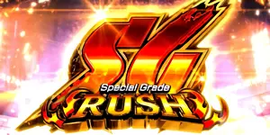 SG RUSH突入画面