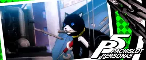 モルガナ(猫)