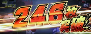 246枚表示の参考画像