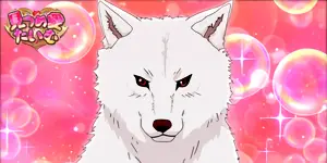 ハイマキ