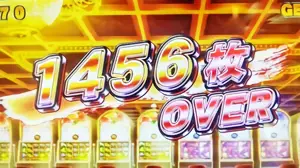 特定枚数表示の参考画像