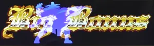 BIG BONUS