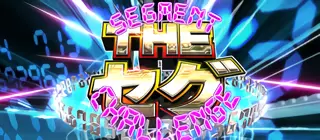 THE セグ
