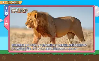 ライオン